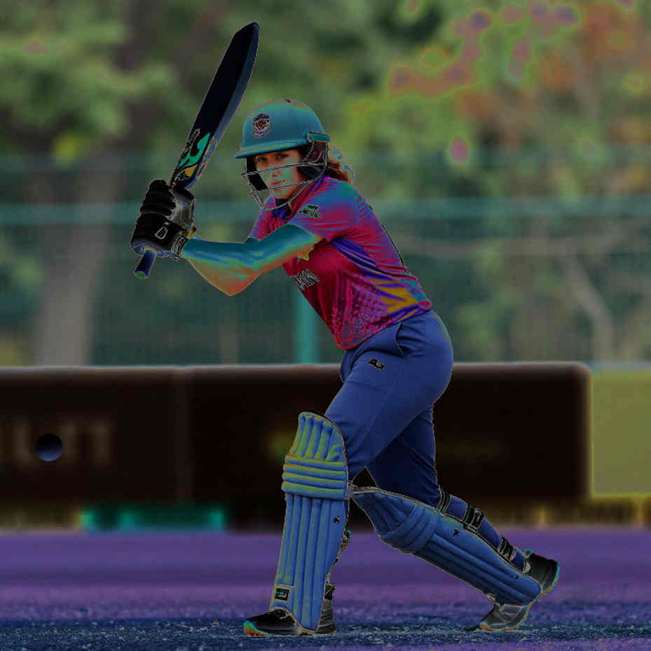 The Empty Information Point: When Cricket Analysis Admits Its Own Blindness The Empty Information Point: When Cricket Analysis Admits Its Own Blindness