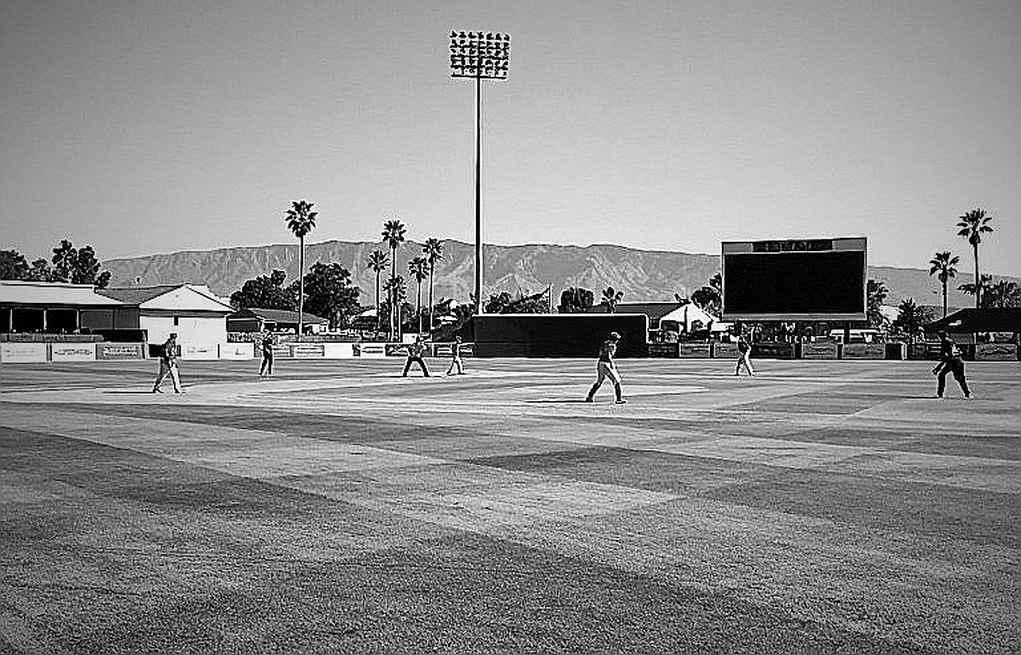 The Honesty of the Empty Dataset: Cricket Analysis, Blockchain, and the Courage to Say 'Insufficient Information' The Honesty of the Empty Dataset: Cricket Analysis, Blockchain, and the Courage to Say 'Insufficient Information'
