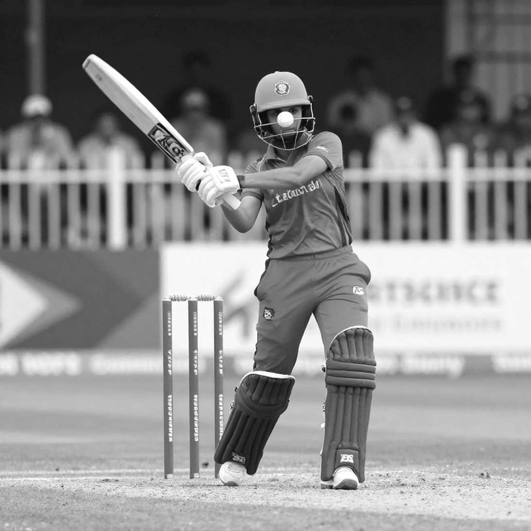 Eight Dimensions, Zero Data: The Analysis That Had No Cricket in It Eight Dimensions, Zero Data: The Analysis That Had No Cricket in It
