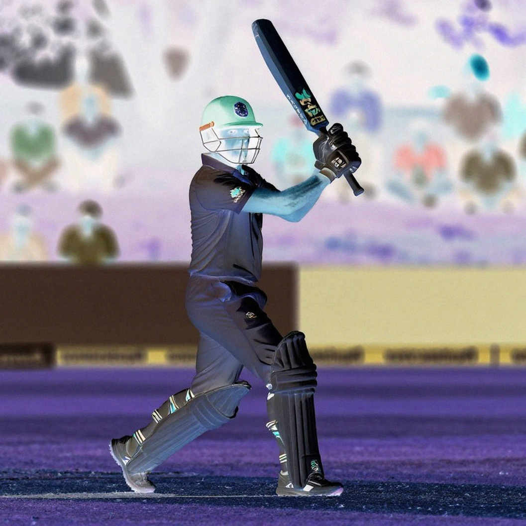 The Testimony of an Empty Spreadsheet: The Silent Failure of a Cricket Analysis Pipeline The Testimony of an Empty Spreadsheet: The Silent Failure of a Cricket Analysis Pipeline