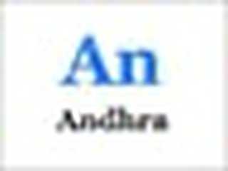 Andhra Squad