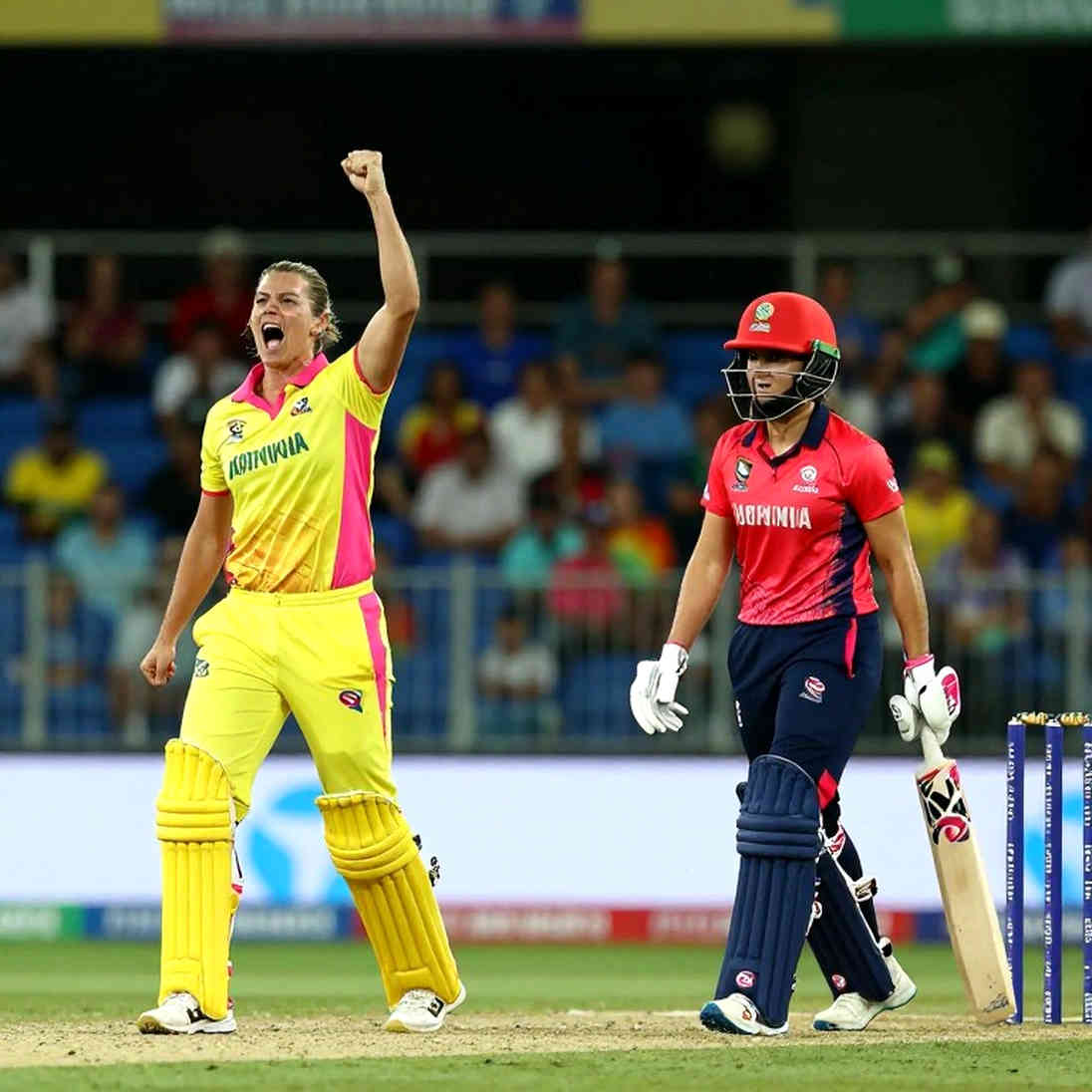 Crack in the cricket analysis data chain: what a Stage-2 report does when it has zero information points Crack in the cricket analysis data chain: what a Stage-2 report does when it has zero information points
